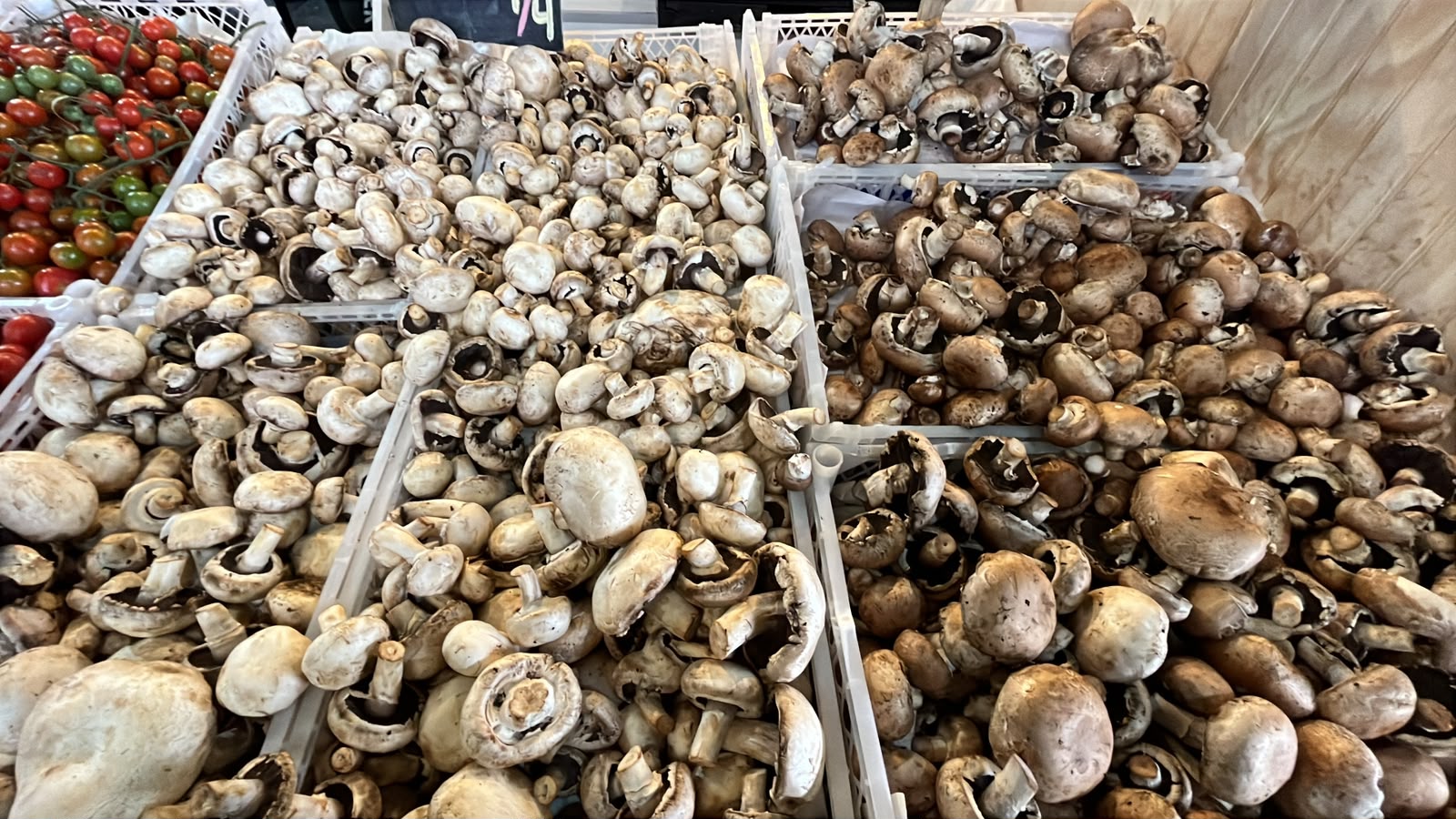 Champiñón Shiitake (150 g)