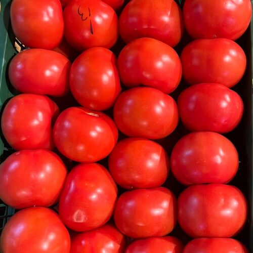 Tomate Malla (3 kg)