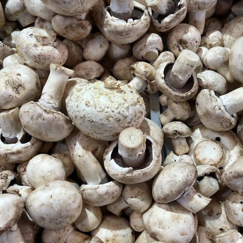 Champiñón (200 g)